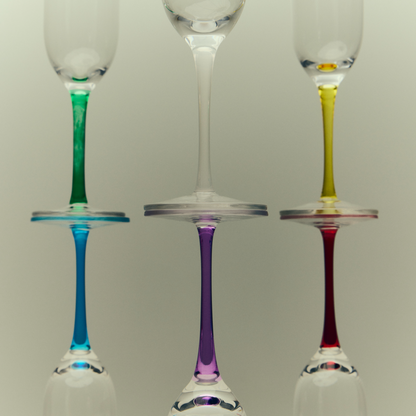 Bellisse Vivant Champagne Glasses Set of 6